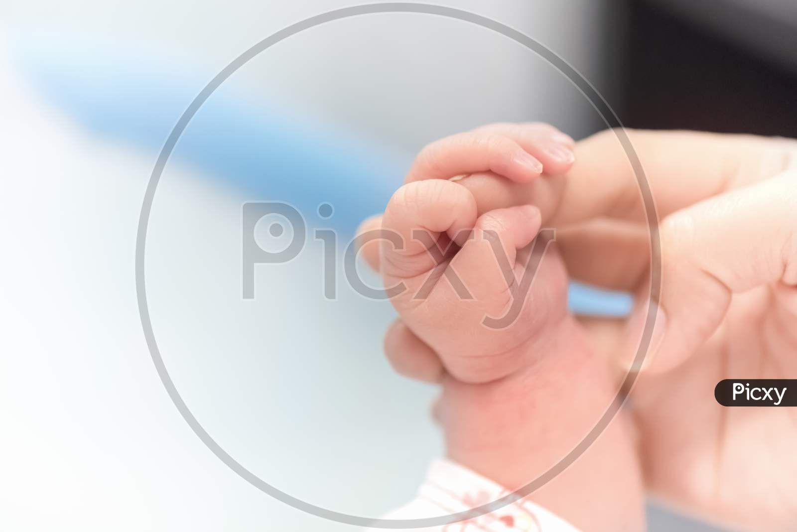Newborn Hand Holding Mother Finger In Hospital, Baby And Health Care Concept, Selective Focus And White Vignette