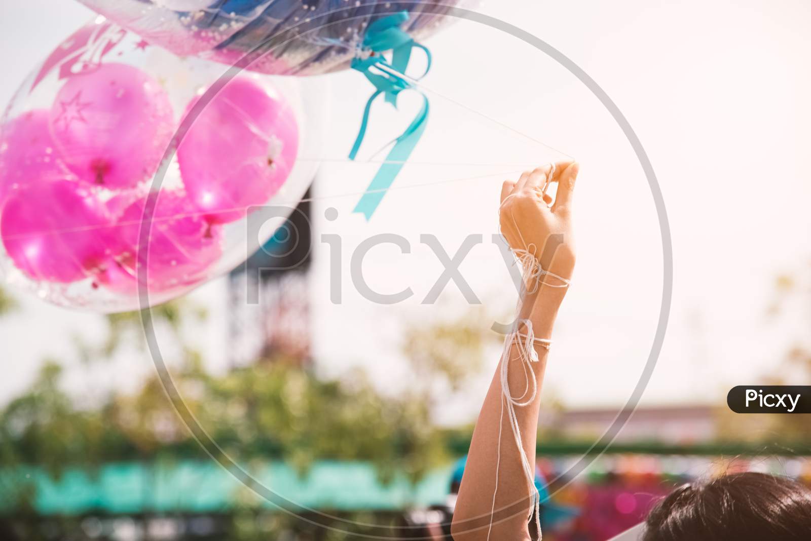 Hand Holding Up Rope Of Greeting Balloon For Special Event Or Birthday Party. Happiness And Celebration Party Concept. Friendship Congratulation And Happy People Theme. Graduated Event Theme