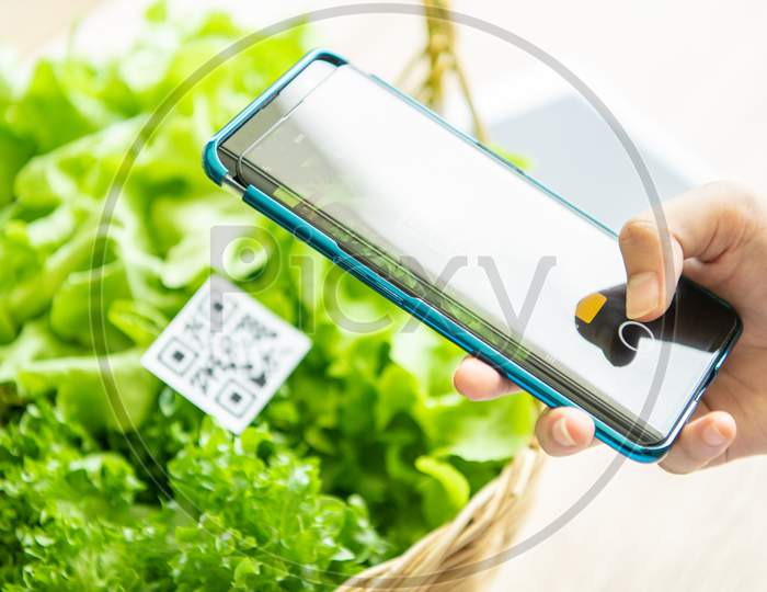 Customers Buy Organic Vegetables From Hydroponics Farm And Pay Using Qr Code Scanning System Payment At Food Market Shop. Technology And Futuristic Business. E Wallet And Digital Cashless Concept