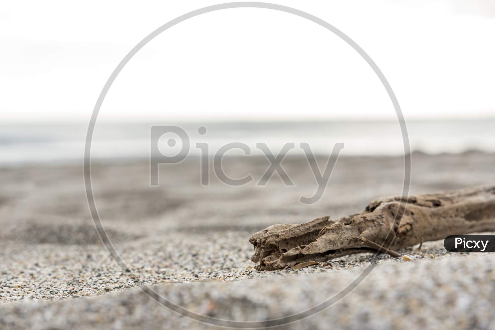 Timber Wood On The Beach Sand Near The Sea, Selective Focus On Timber Wood, Sea And Relax Concept