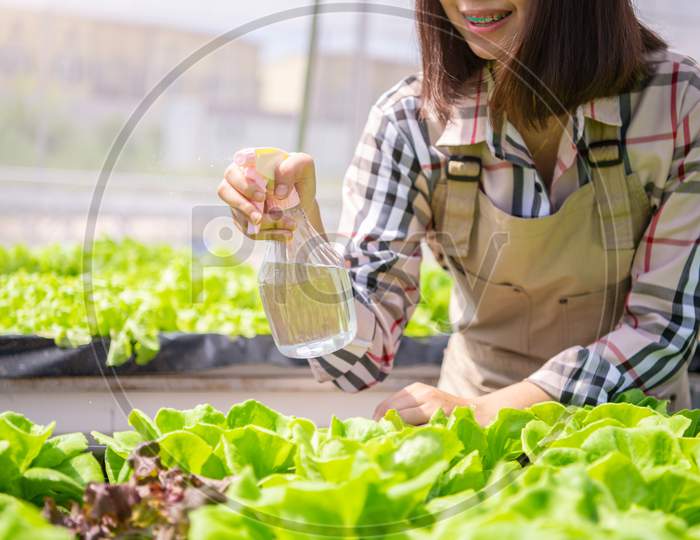 Closeup Of Foggy Water Spray Bottle In Female Farmer Hand Spraying To Sprout Hydroponics Vegetable In Greenhouse Nursery Background. Business Agriculture And Cultivation Farming Concept. Organic Food