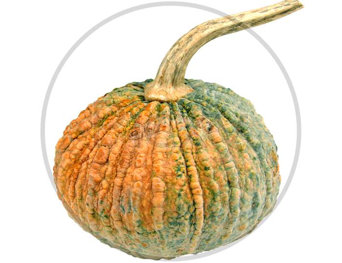 Pumpkin On Isolated White Background. Food And Vegetable Concept. Clipping Path Use
