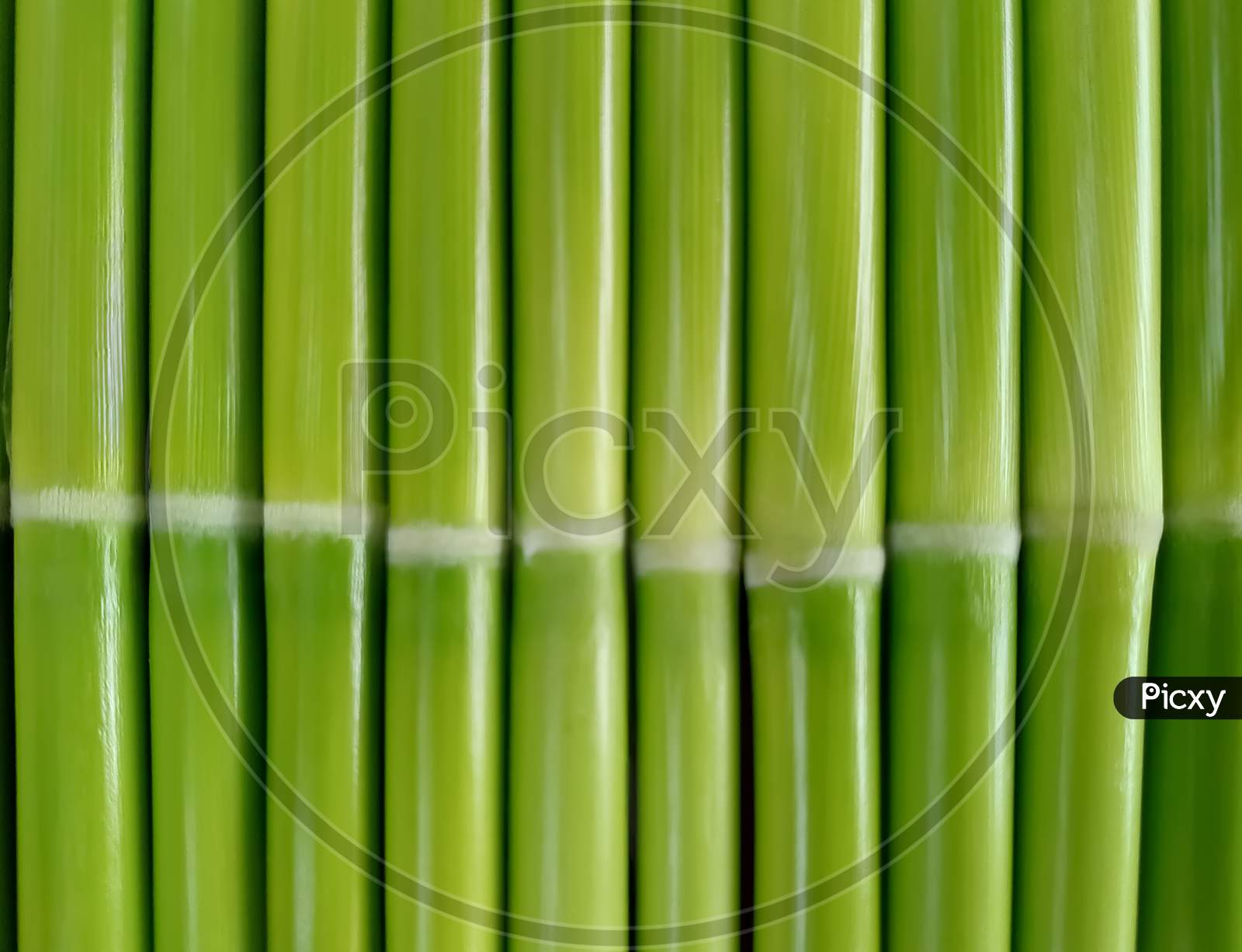 green wood and texture for background or wallpaper