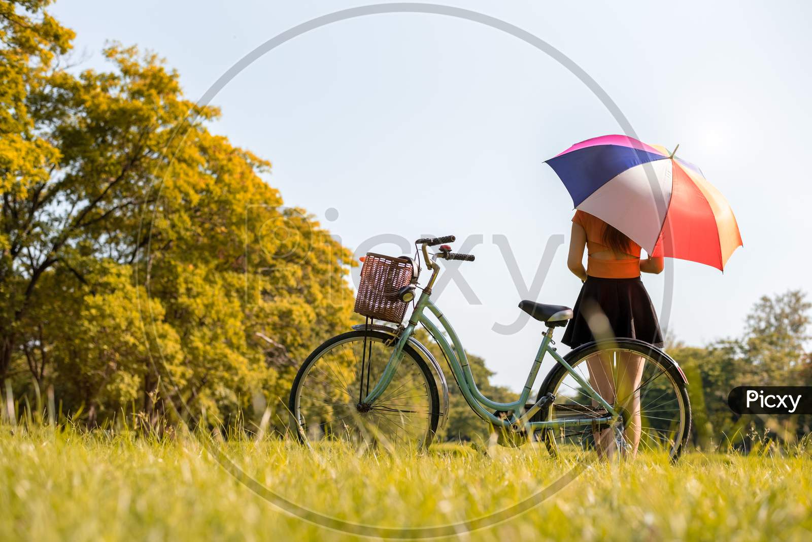 Woman With Colrful Umbrella And Bicycle In Park. People And Relaxation Concept. Season And Autumn Theme.