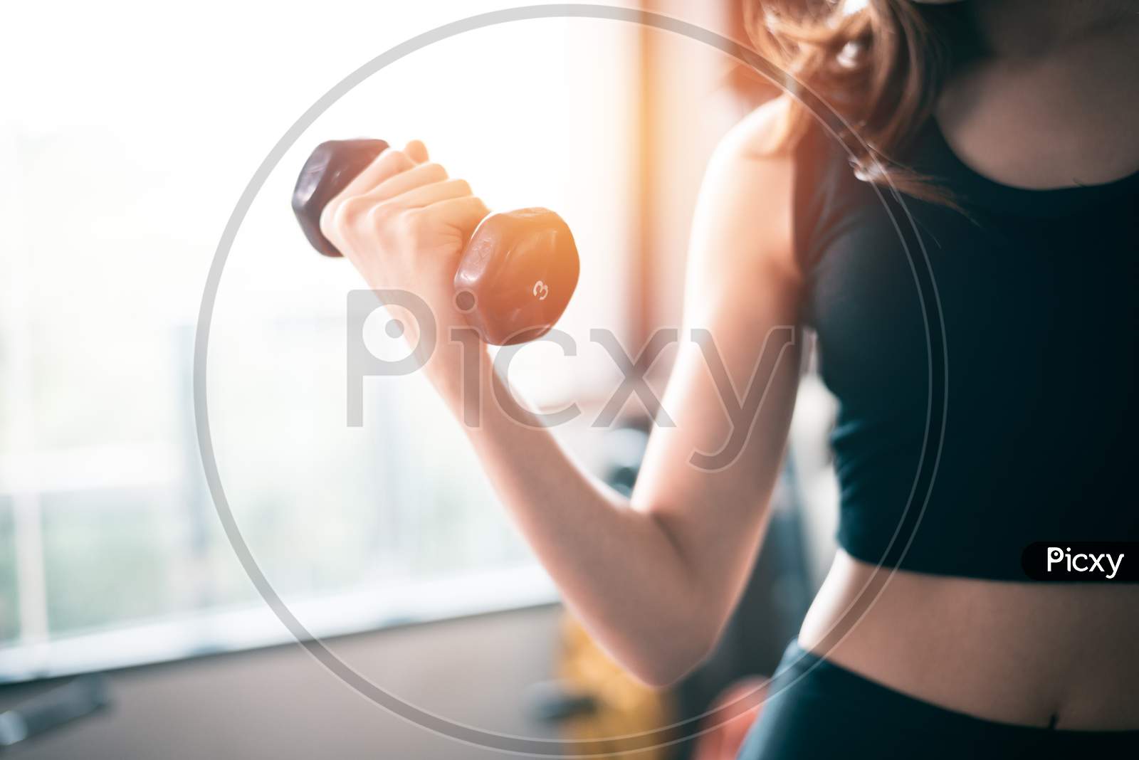 Hand Of Sports Woman Lifting Dumbbell For Weight Training Near Window By Right Hand For Pumping Biceps Muscle. Workout And Body Build Up Concept. Indoor Exercise Gym And Sports Club Theme.