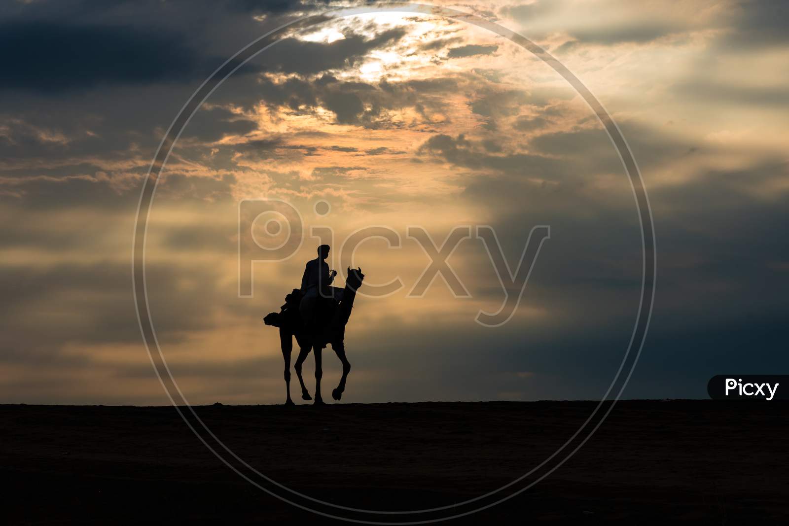 Silhouette Photograph In The Desert.