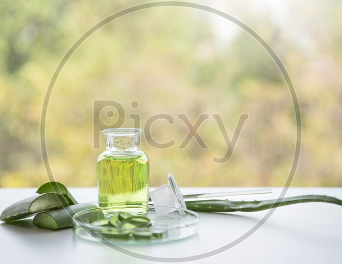 Aloe Vera Spa Treatments On White Wooden Table. Healthcare And Body Therapy Massage Relaxation Concept. Beauty And Healthy Theme. Pure Natural Extract And Medical Theme.