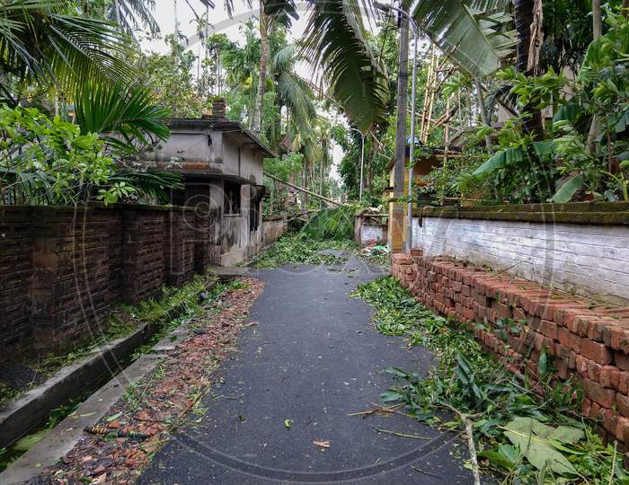 Gobardanga, West Bengal, India- May 21, 2020: A Big Tree Fallen On The Road Due To Amphan Cyclone. Road Is Fully Block.