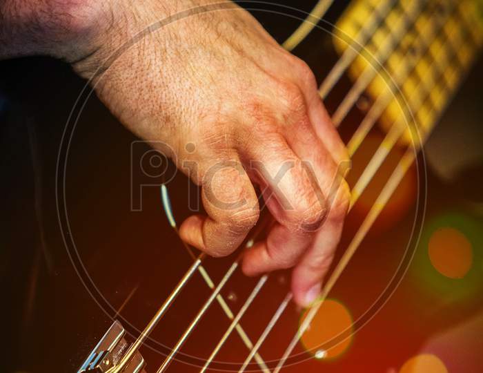 Bass Guitar Musician Playing Close Up