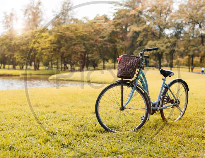 Bicycle In Autumn Park. Sport And Activity Concept. Relax And Activity Concept. Leisure And Nature Theme. Yellow Tone Theme.
