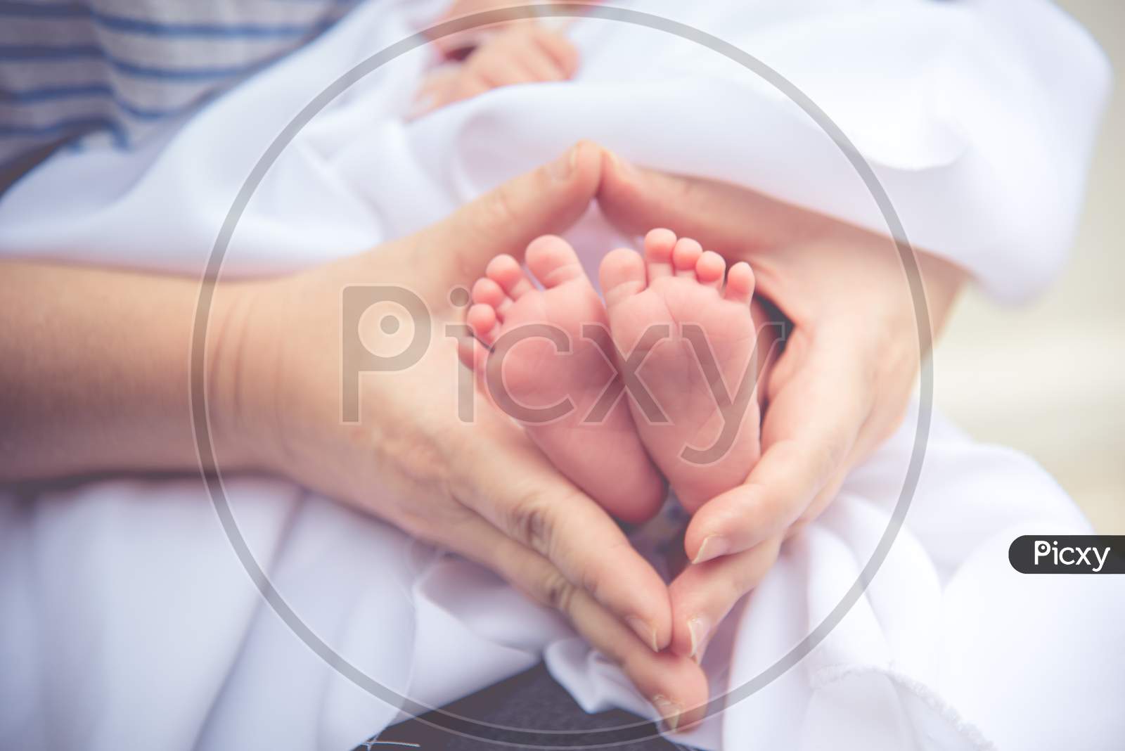 Mother Holding Newborn Tiny And Soft Skin Baby Feet In Both Of Hands. Love And Affection Concept. Maternity And Health Theme.