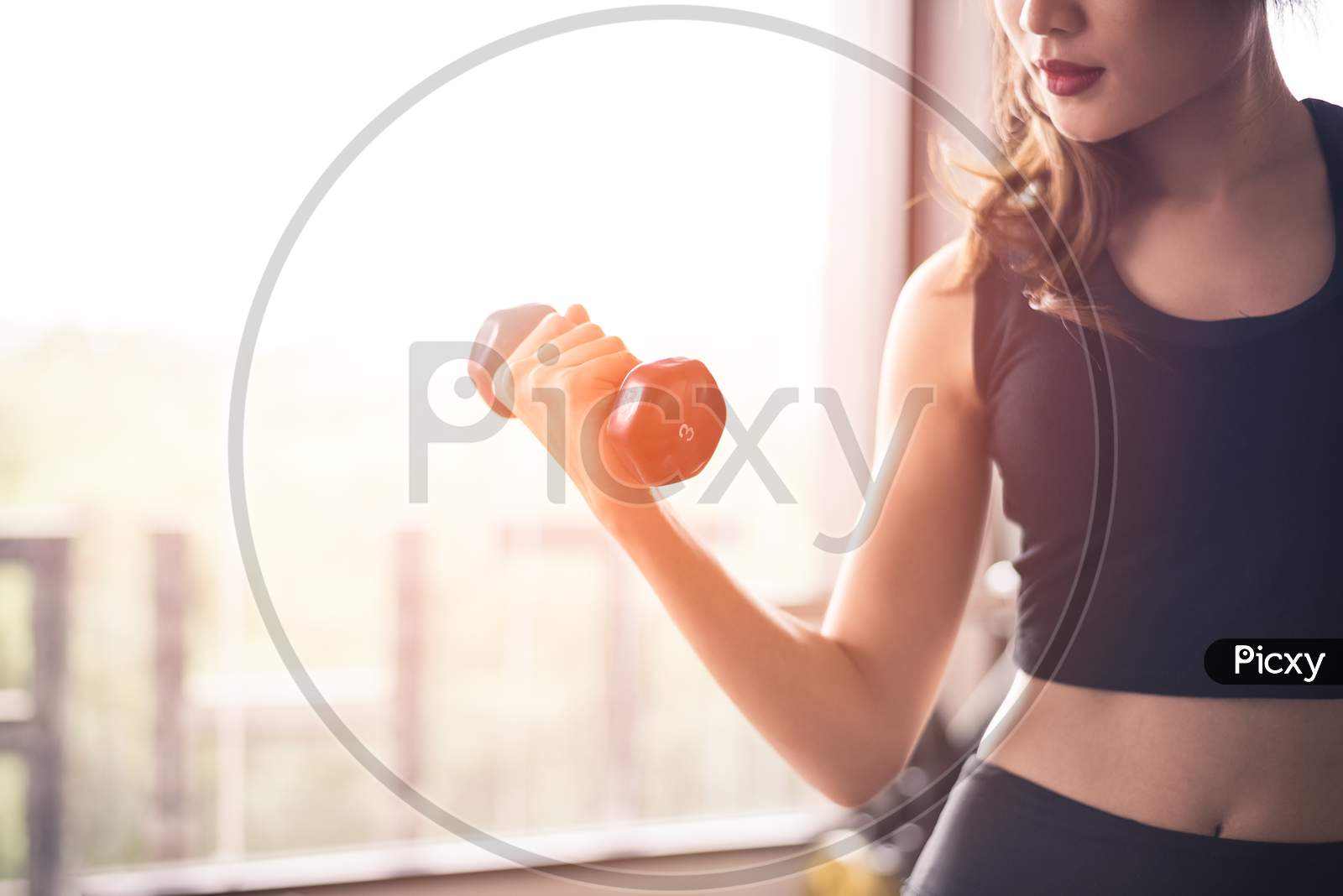 Hand Of Sports Woman Lifting Dumbbell For Weight Training Near Window By Right Hand For Pumping Biceps Muscle. Workout And Body Build Up Concept. Indoor Exercise Gym And Healthcare Theme