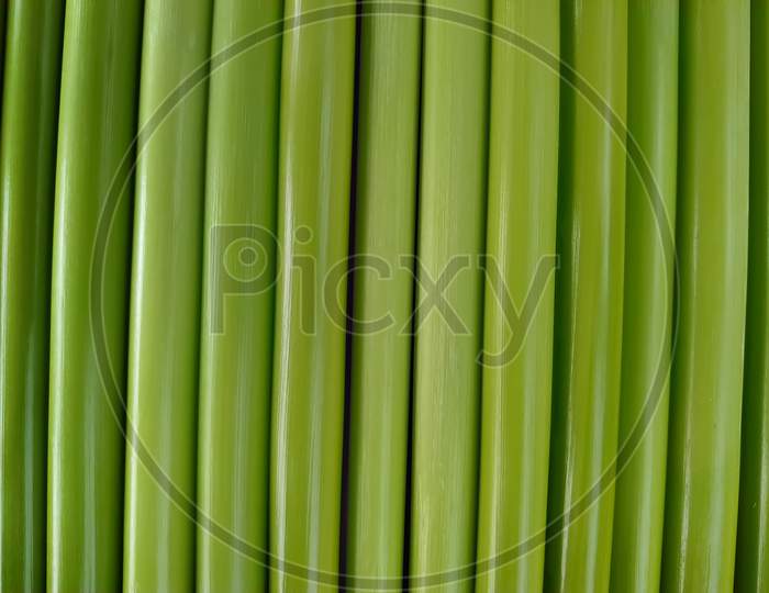 Closeup of green wood