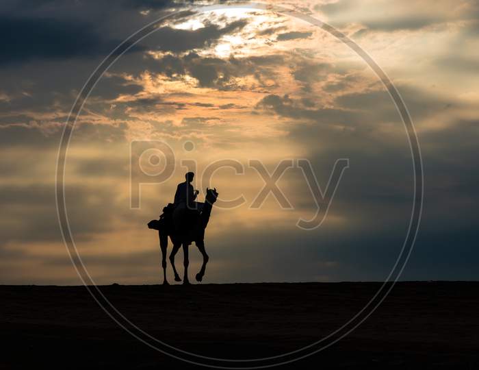 Silhouette Photograph In The Desert.
