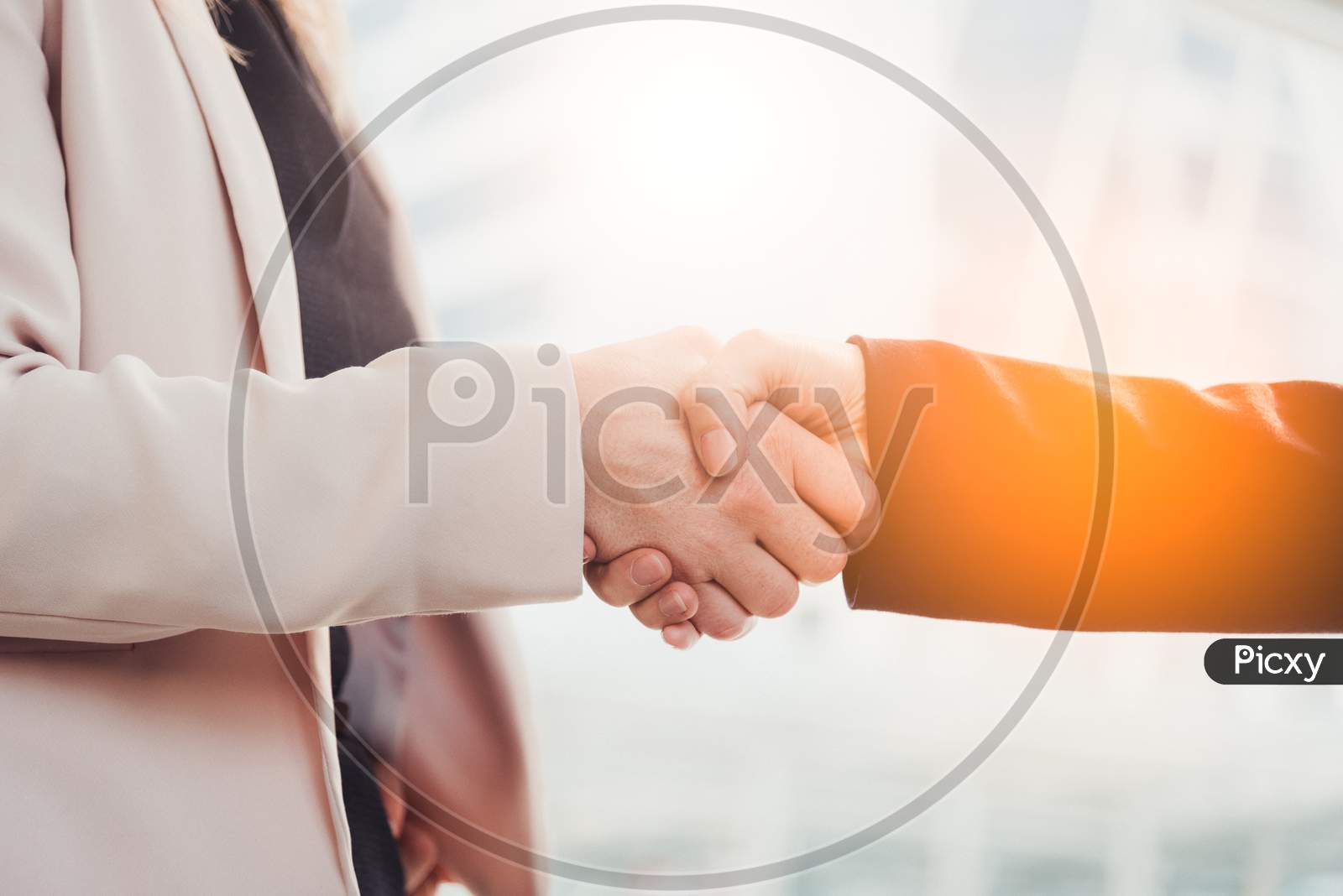Business People Hand Shake For Dealing With New Project. Business And People Concept. Contact Agreement And Job Application Theme. City And Urban Theme.