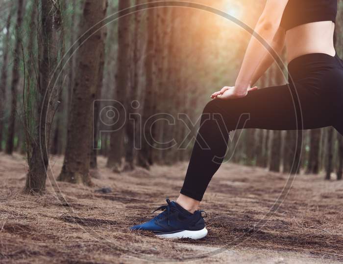 Close Up Of Lower Body Of Woman Doing Yoga And Stretching Legs Before Running In Forest At Outdoors. Sports And Nature Concept. Lifestyle And Activity Concept. Pine Woods Theme.
