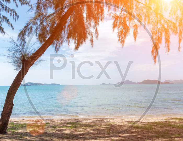 Tropical Beach With Tree And Sunlight. Holiday And Relax Concept. Lifestyle And Long Weekend Concept. Nature And Seascape Theme.