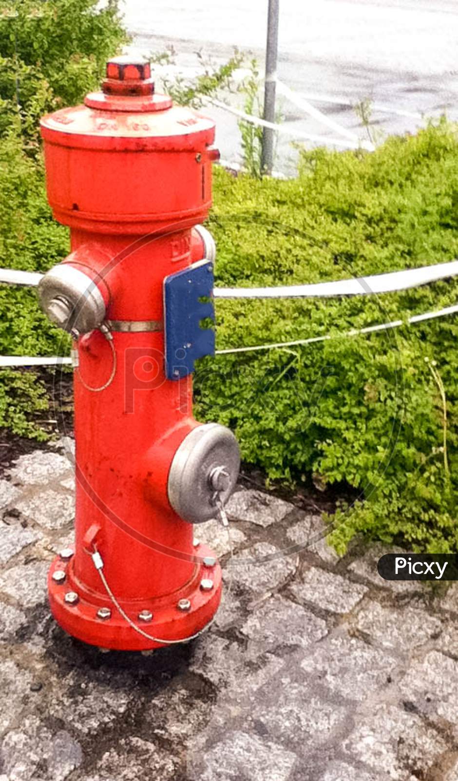 Red American Fire Hydrant