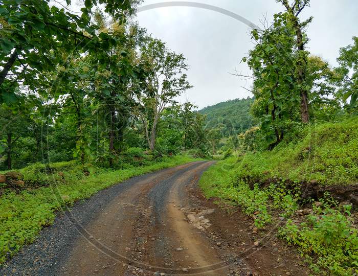 Landscape View Of A Rocky Dirt Road In The Green Dense Forest At Rainy Season