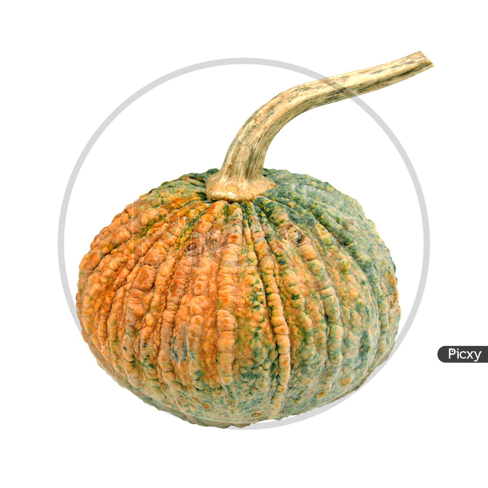 Pumpkin On Isolated White Background. Food And Vegetable Concept. Clipping Path Use