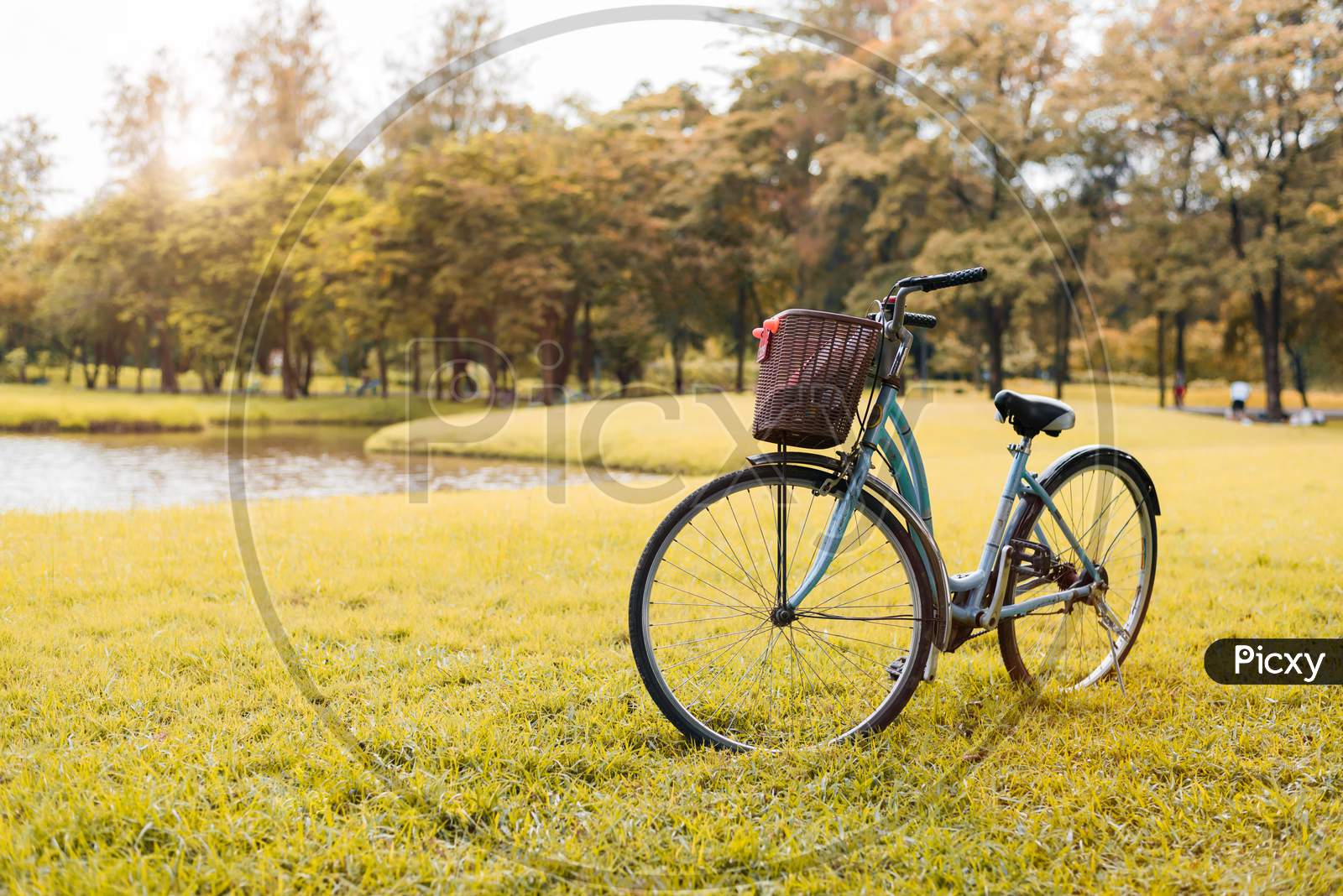 Bicycle In Autumn Park. Sport And Activity Concept. Relax And Activity Concept. Leisure And Nature Theme. Yellow Tone Theme.