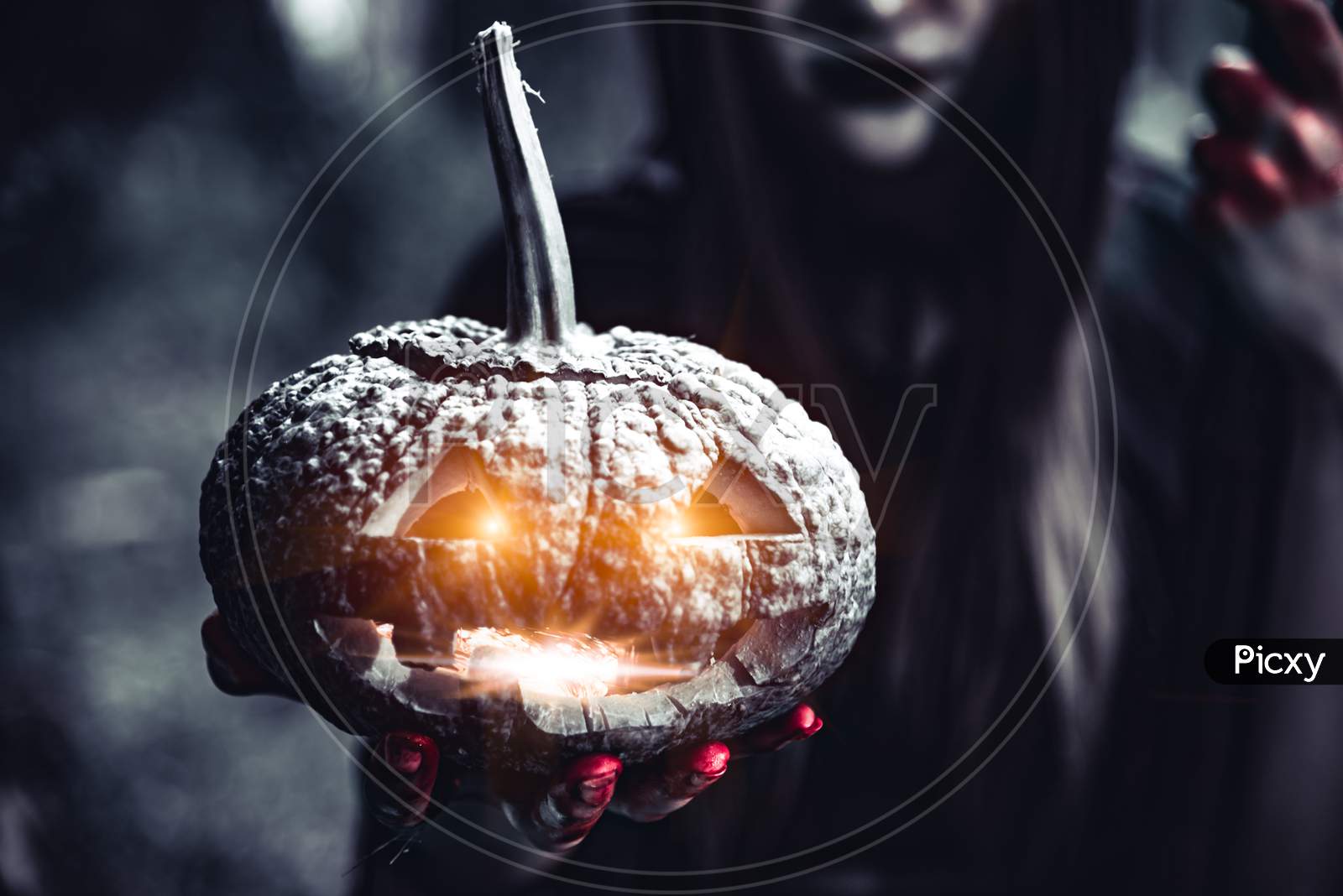 Pumpkin Lantern In Witch Hand. Old Woman Holding Pumpkin In Dark Forest. Halloween Day And Mystery Concept. Fantasy Of Magic Theme.
