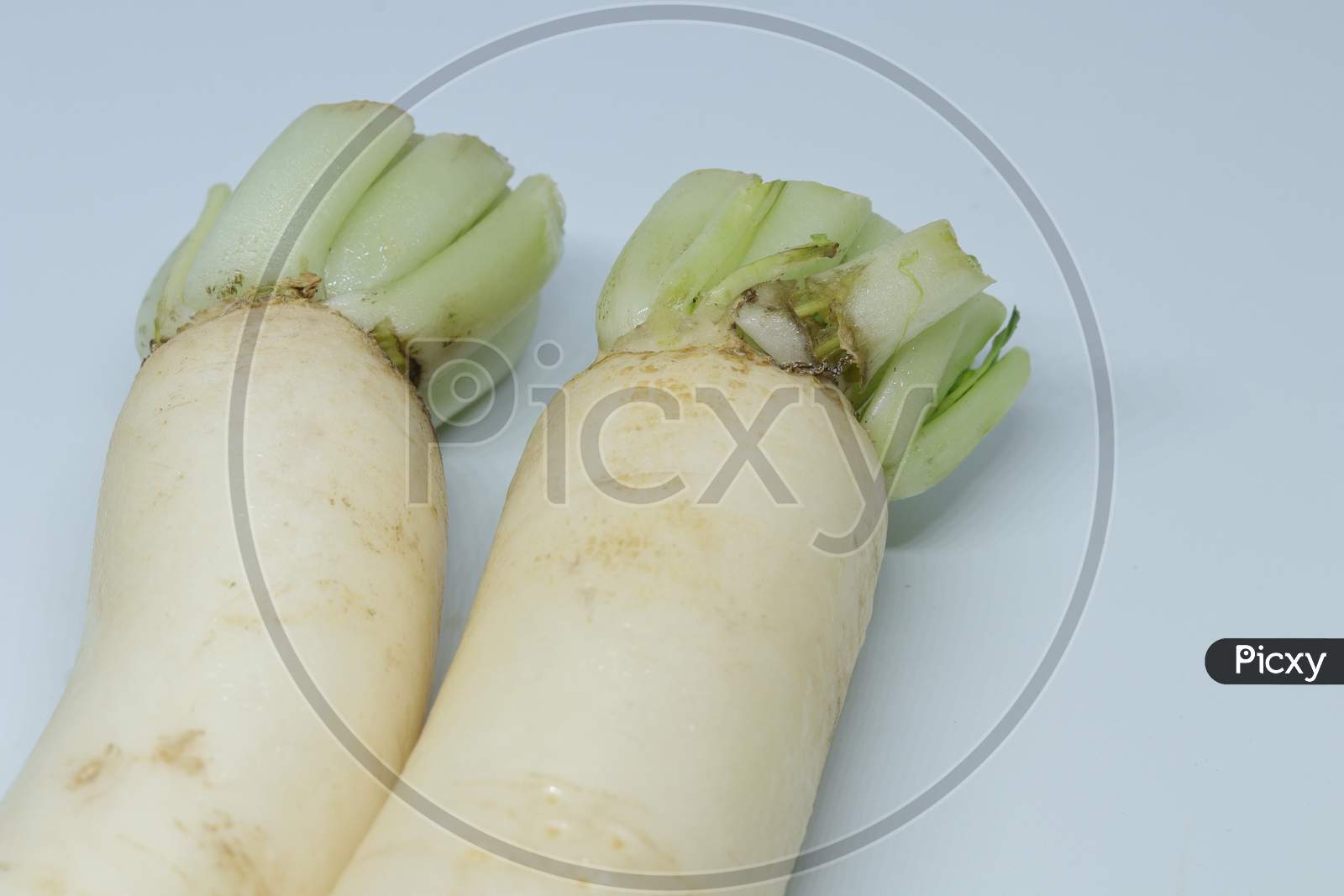 Fresh organic daikon radishes isolated on white background
