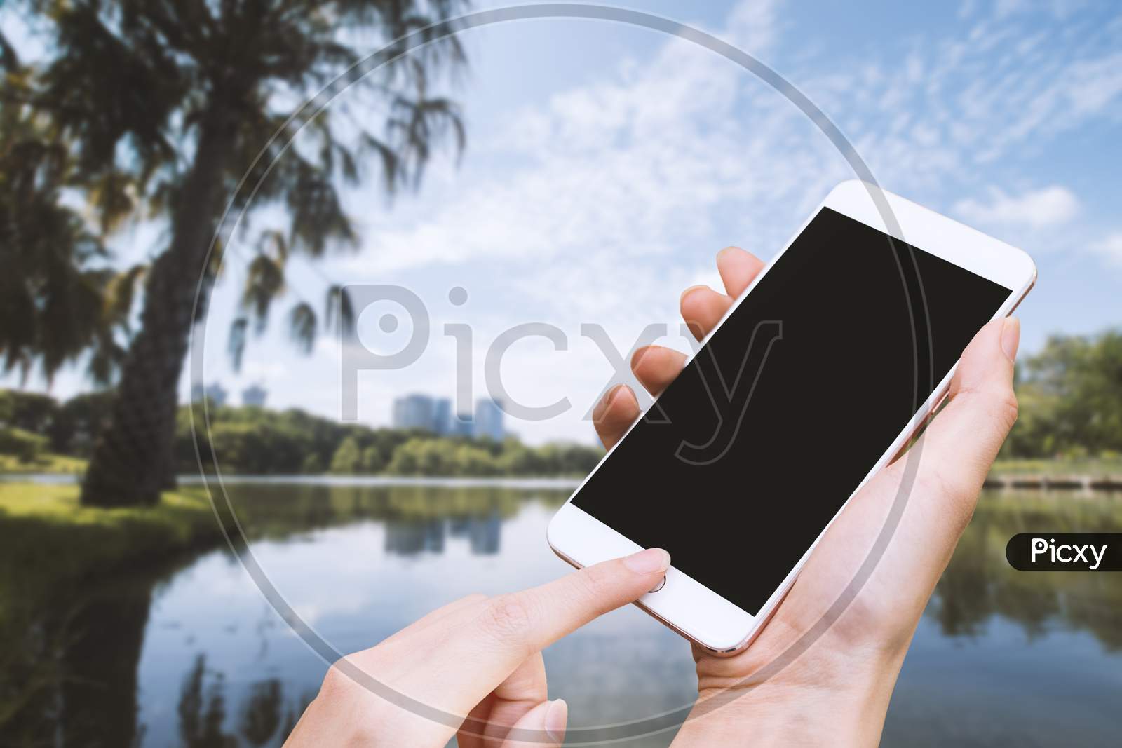 Woman Hold Smart Phone And Touch Button By Hand With Blank Screen For Advertisement, Park And Nature Background ,Technology, Relax And Traveling Concept
