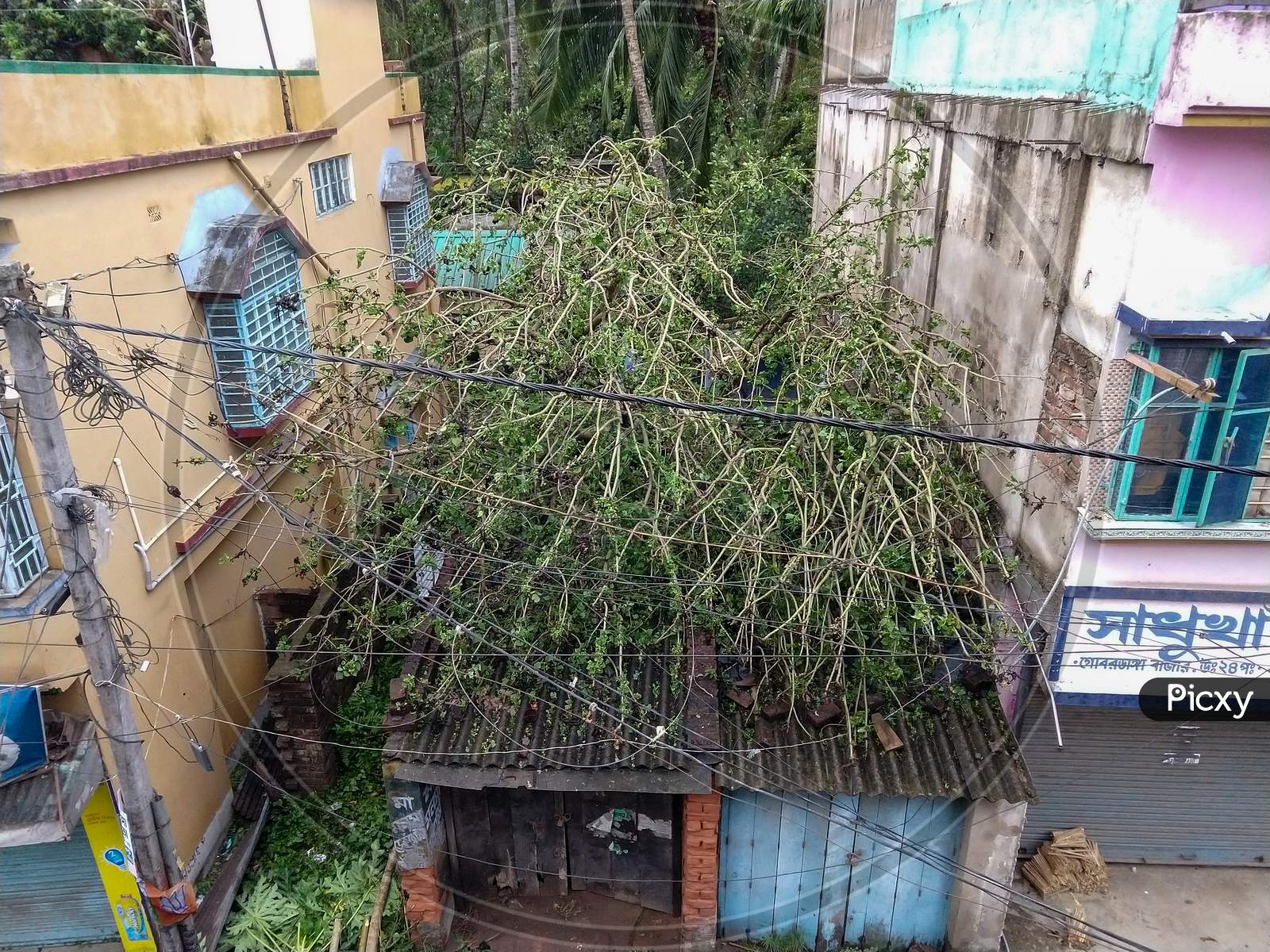 Gobardanga, West Bengal, India- May 21, 2020: A Tree Fallen On A Little Shop Due To Heavy Storm Of Amphan Cyclone.