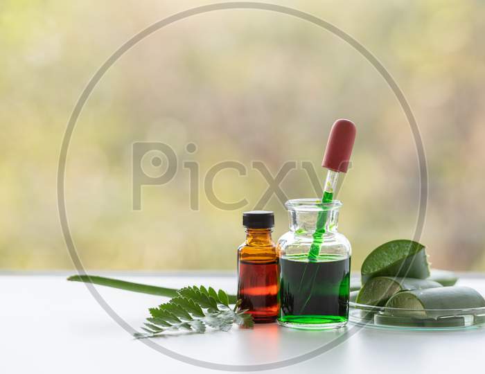 Aloe Vera Spa Treatments On White Wooden Table. Healthcare And Body Therapy Massage Relaxation Concept. Beauty And Healthy Theme. Pure Natural Extract And Medical Theme.