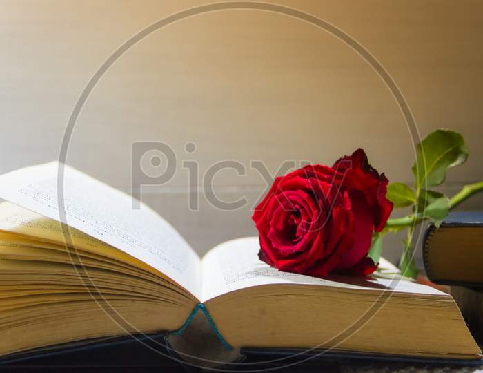 Romantic Red Rose On The Open Book