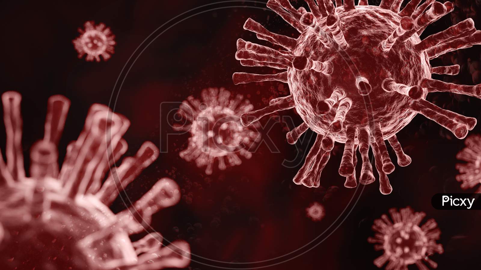 Super Closeup Coronavirus Covid-19 In Human Lung Body Background. Science Microbiology Concept. Red Corona Virus Outbreak Epidemic. Medical Health Virology Infection Research. 3D Illustration