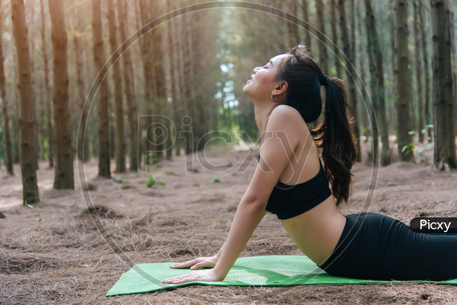 Beautiful Asian Young Woman Doing Yoga And Planking On Green Mat In Forest. Exercise And Meditation Concept. Peaceful And Countryside Concept