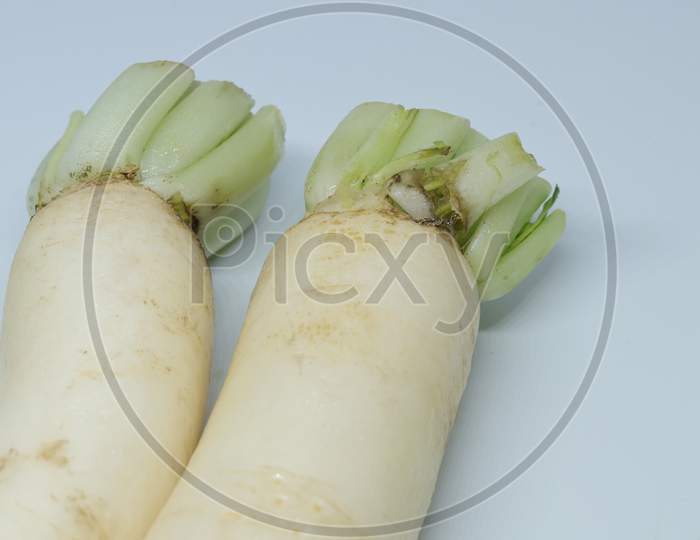 Fresh organic daikon radishes isolated on white background