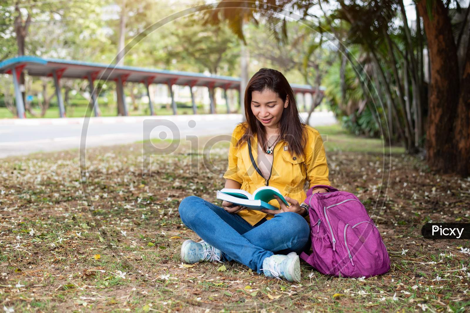 Happy Asian Woman Sitting And Reading Books In University Park Under Big Tree. People Lifestyles And Education Concept. Summer Course And Self Learning Theme. Student And Study In College