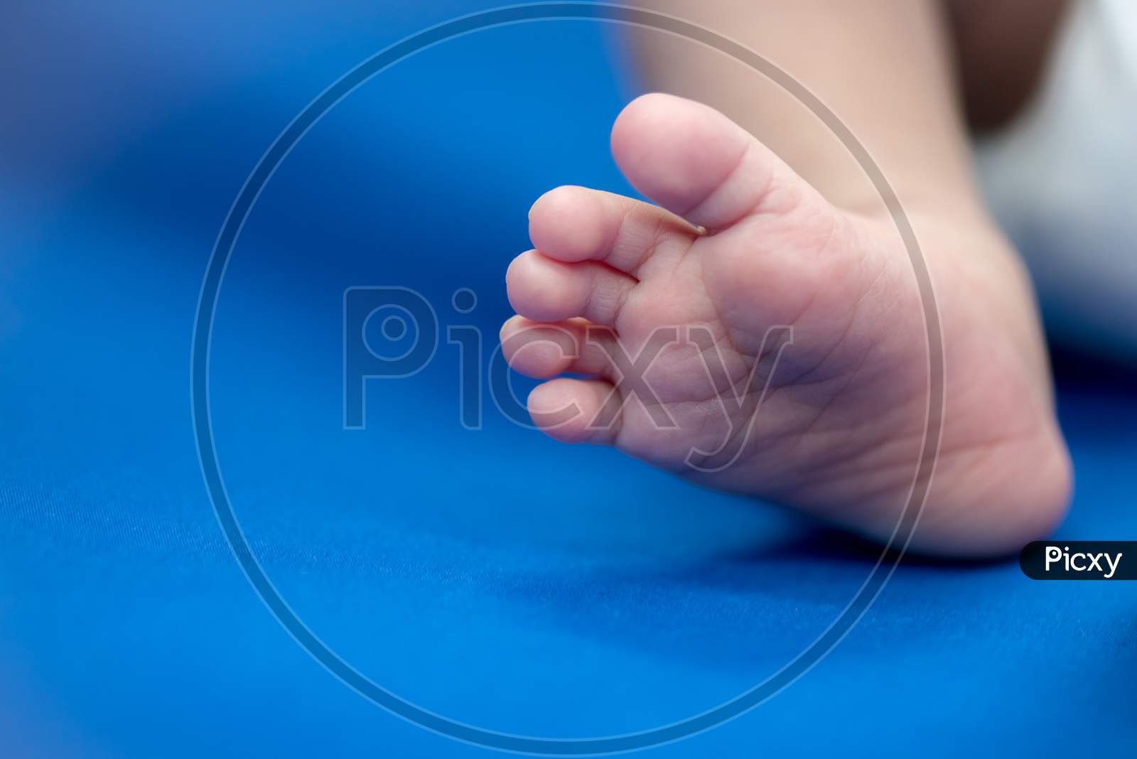 Newborn'S Foot On Blue Blanket Sheet, Baby And Health Care Concept