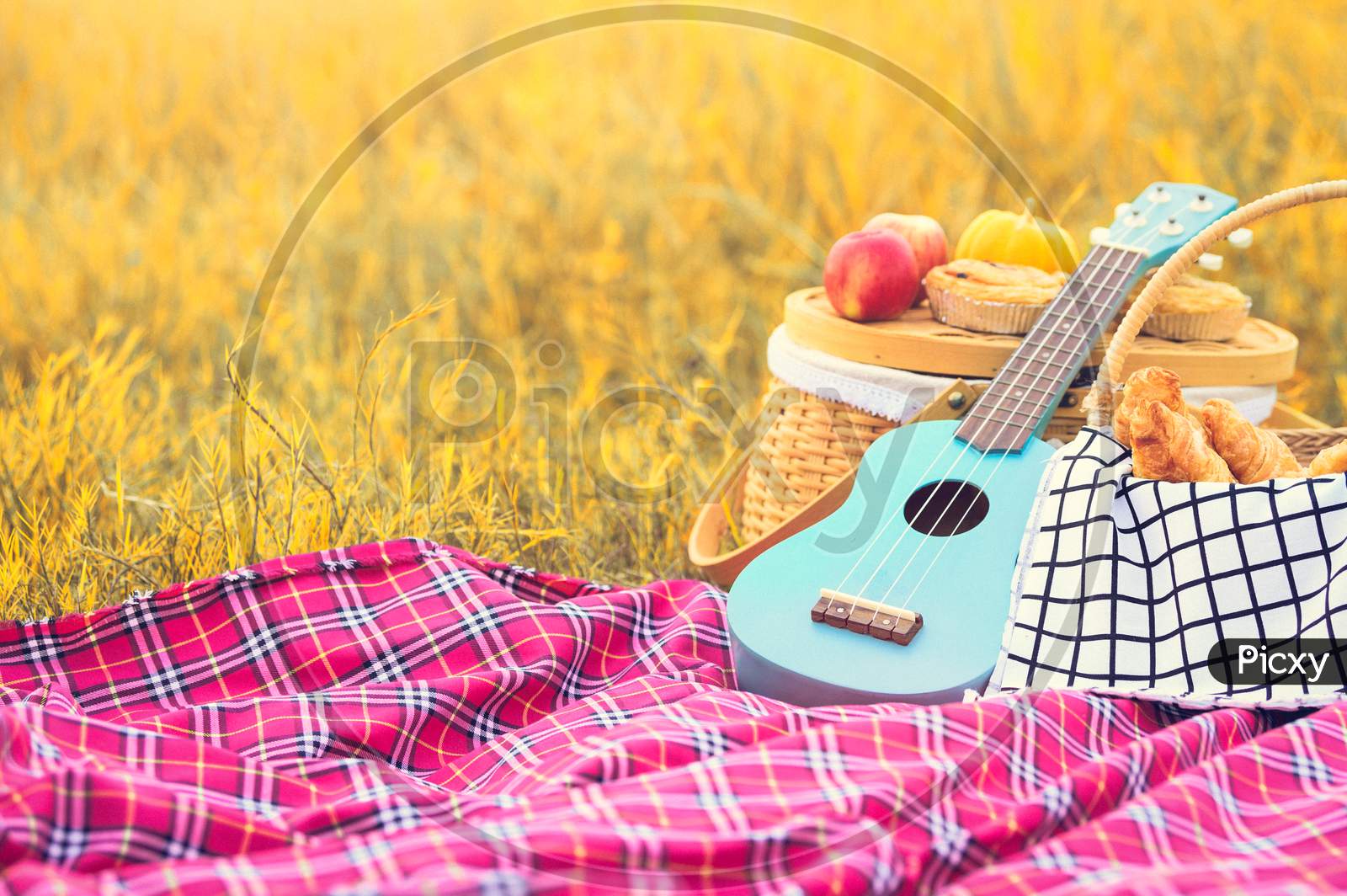 Picnic Props In The Autumn Meadow Field. Ukulele Guitar, Picnic Basket, Bread And Fruits On Picnic Mat On Grass. Object And Travel Relaxation Concept. Copy Space