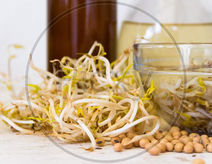 Preparation Of Pickled Soybeans In Vinegar And With Sauce