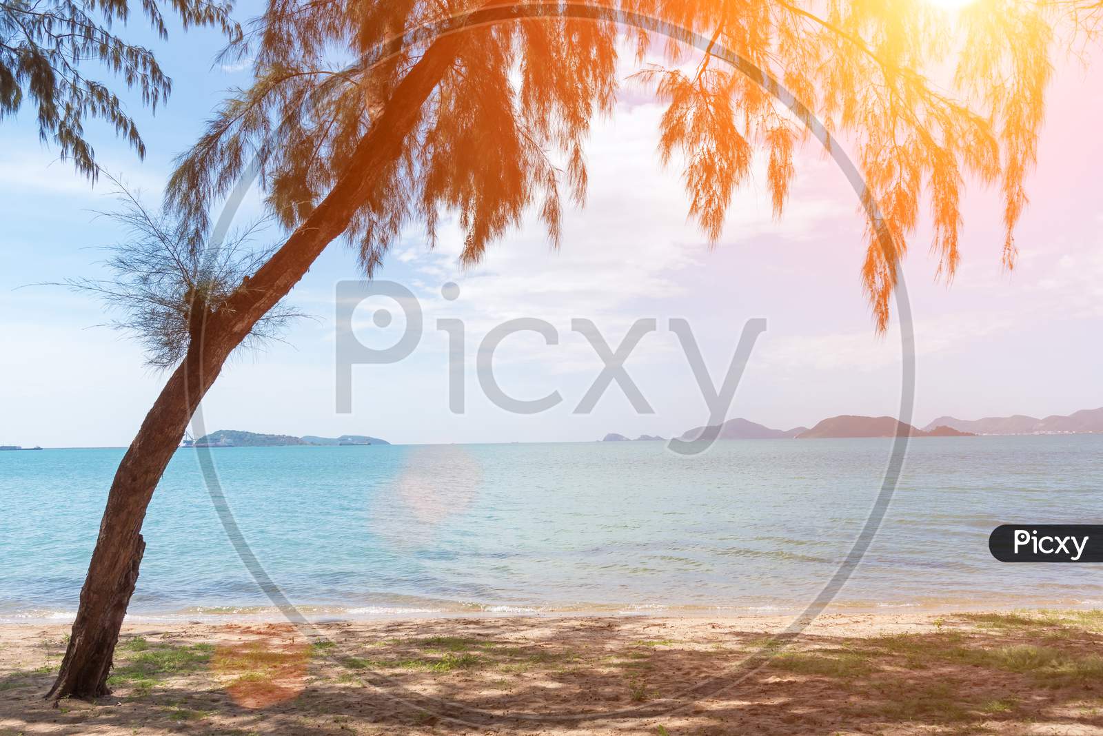 Tropical Beach With Tree And Sunlight. Holiday And Relax Concept. Lifestyle And Long Weekend Concept. Nature And Seascape Theme.