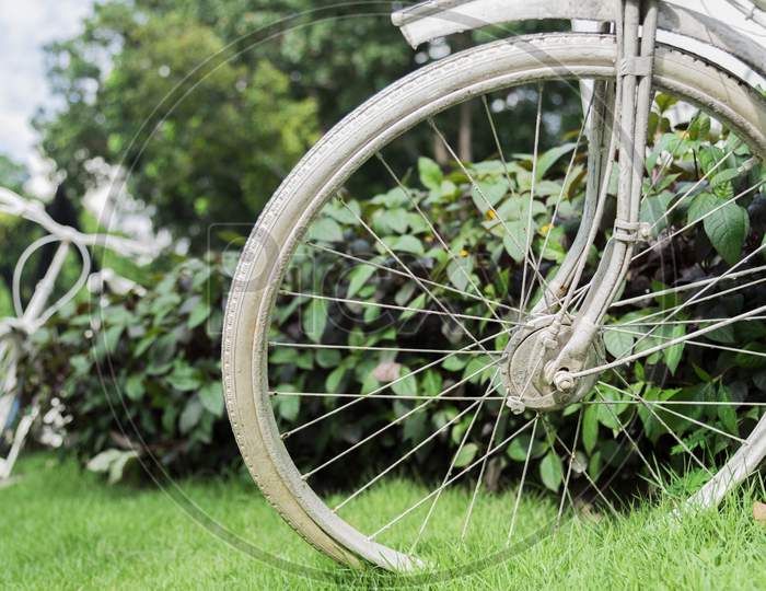 White Bicycle In Garden Background. Vintage And Nature Concept. Close Up And Bike Handle.