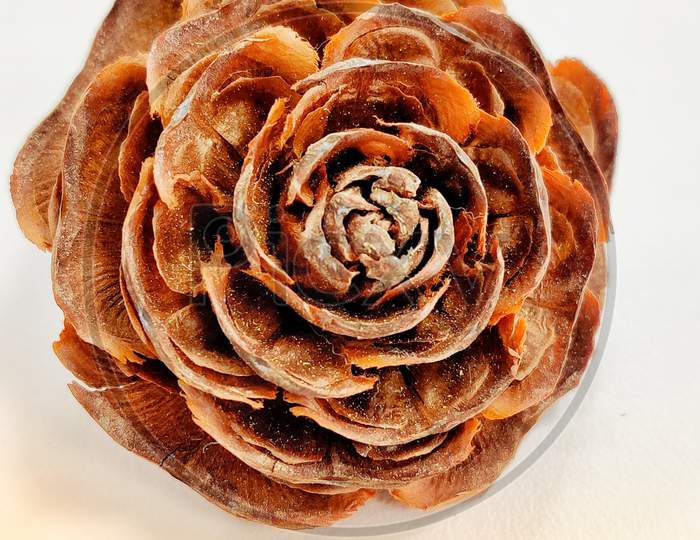 100% Wooden Rose Flower