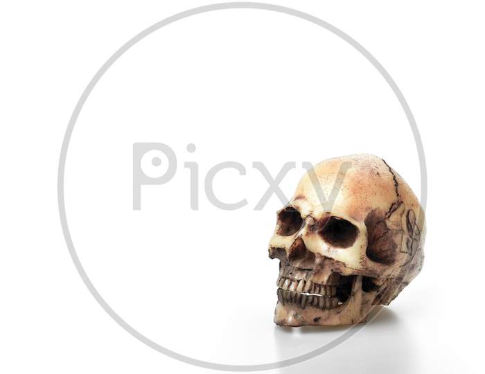 Cracked Skeleton Head Bone Or Skull On The White Background And Copy Space For Text, Deadman Concept, Dangerous Concept, Education For Anatomy Science Subject In School