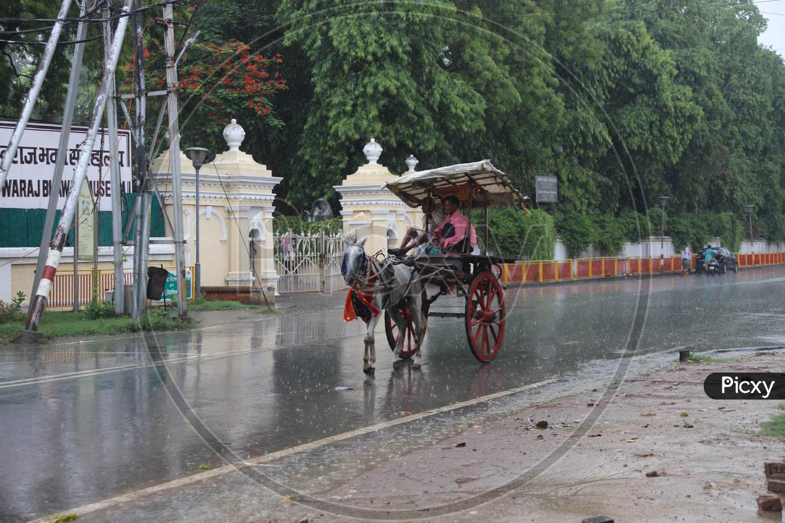 A Man rides a Horse Cart during a Heavy Pre Monsoon Rain In Prayagraj, June18, 2020.