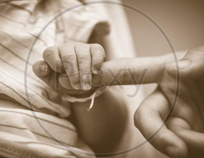 Baby Holding Mother Fingers In Concept Of Love And Family. Closeup Baby And Mom  Palm Hands. Newborn And Infant Tenderness. Health And Trust Of Relationship People. Vintage Tone Film