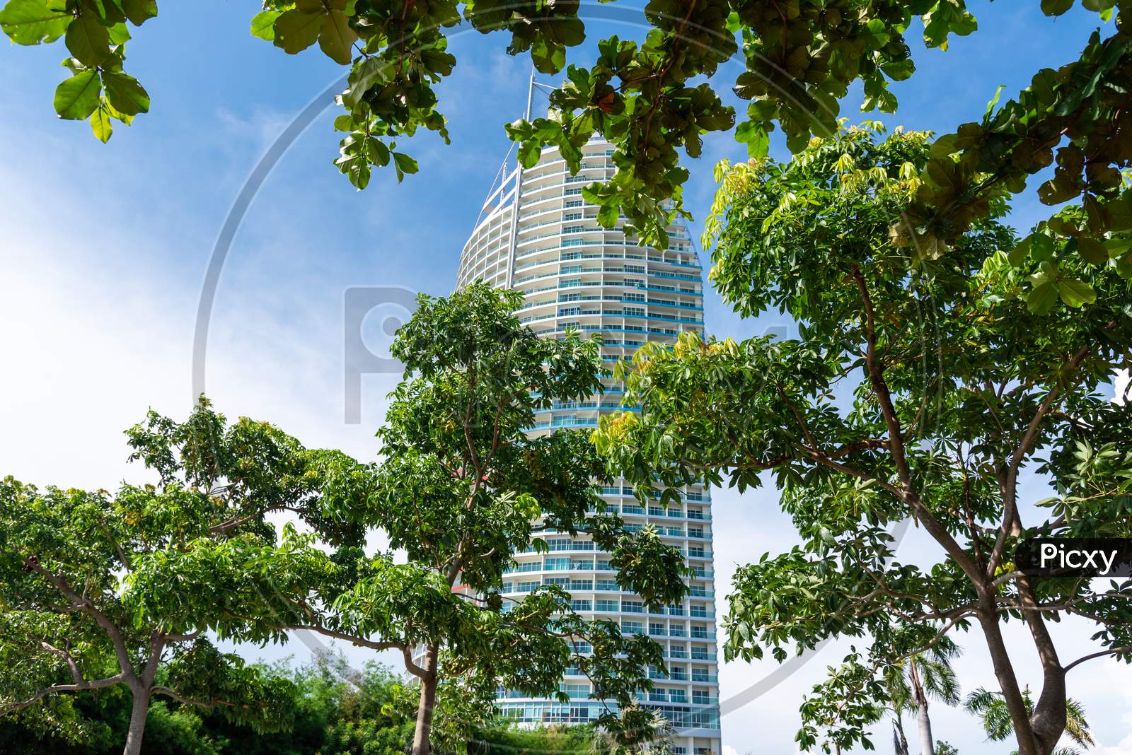 Cities In Nature. Tall Building With Sky Background And Tree Foreground. Architect And Nature Concept.