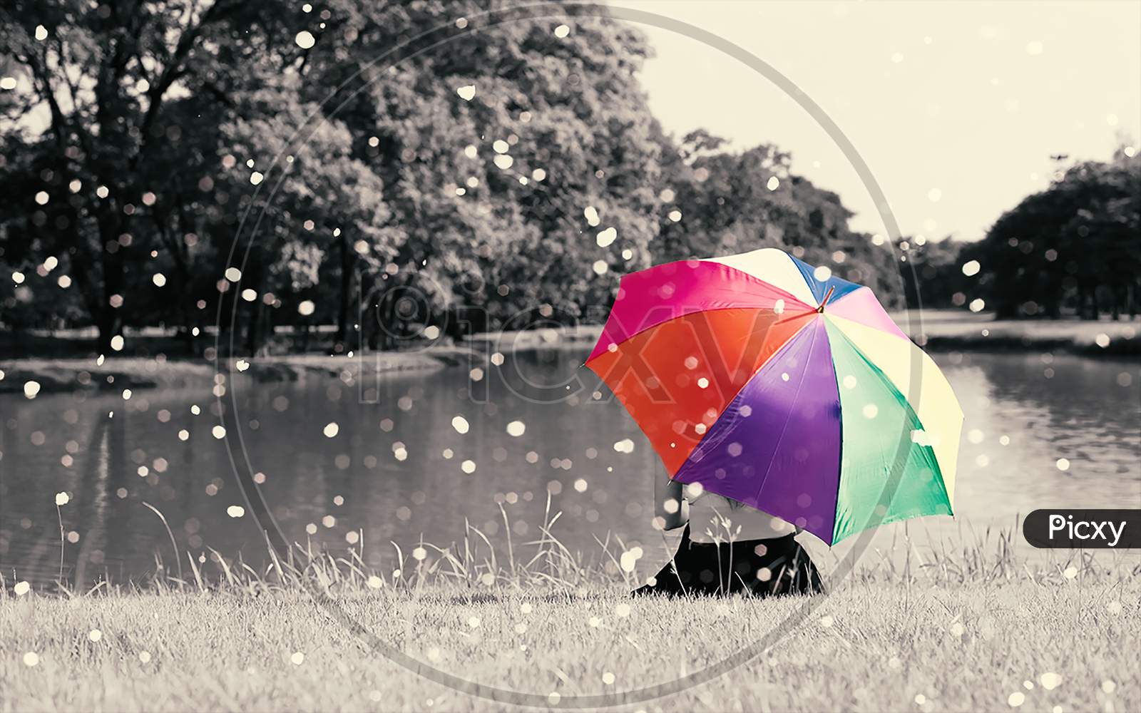 Colorful Rainbow Umbrella Hold By Sitting Woman On Grass Field Near River At Outdoor With Full Of Nature And Rain, Relax Concept, Beauty Concept, Lonely Concept, Selective Color, Sepia Dramatic Tone