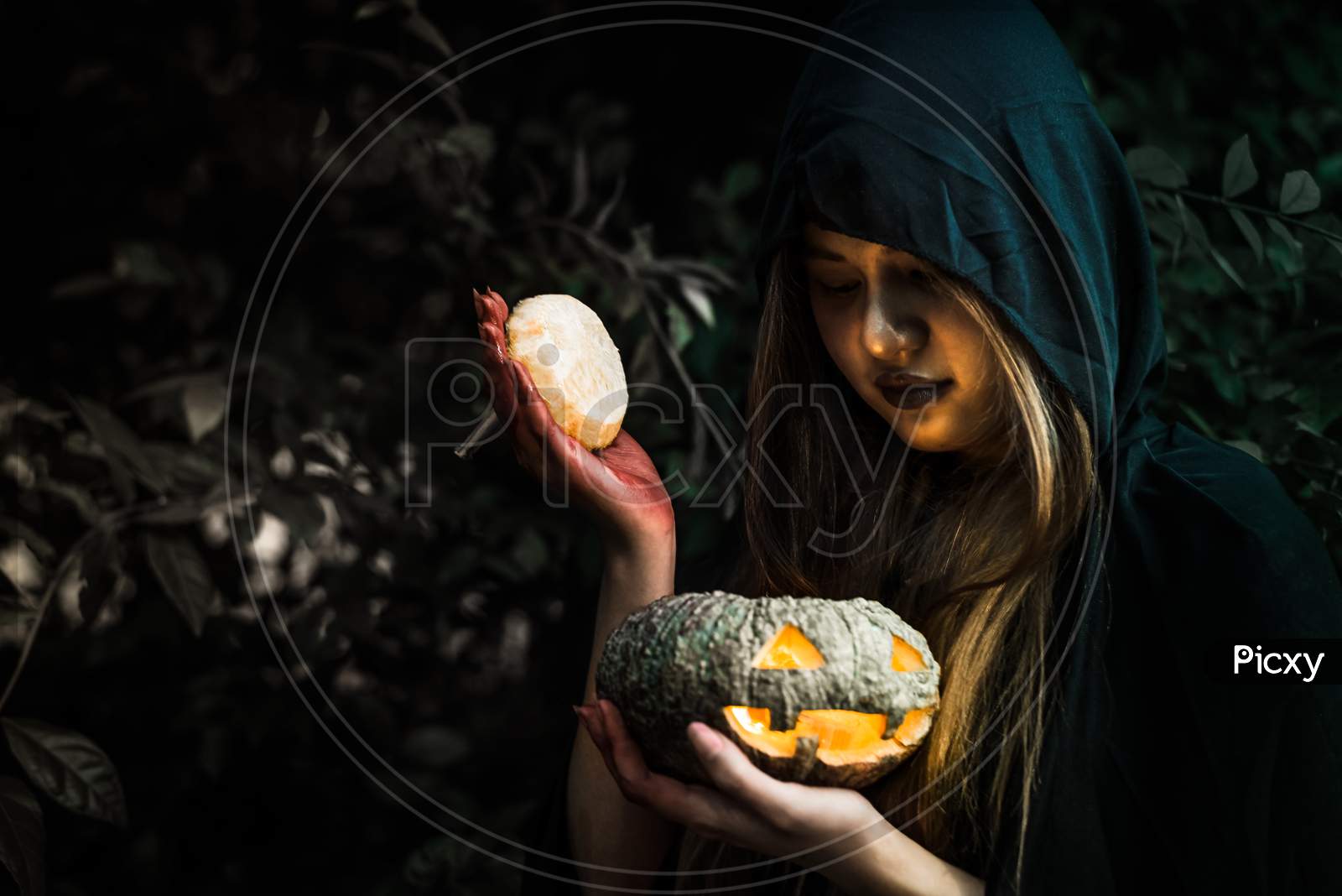 Witch Opening Pumpkin Lid By Hand. Old Woman Holding Bright Pumpkin In Dark Forest. Halloween Day And Mystery Concept. Fantasy Of Magic Theme. Demon Angle Theme.