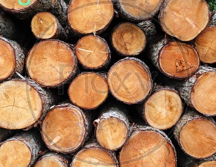 Detailed close up texture of stacked firewood with annual rings