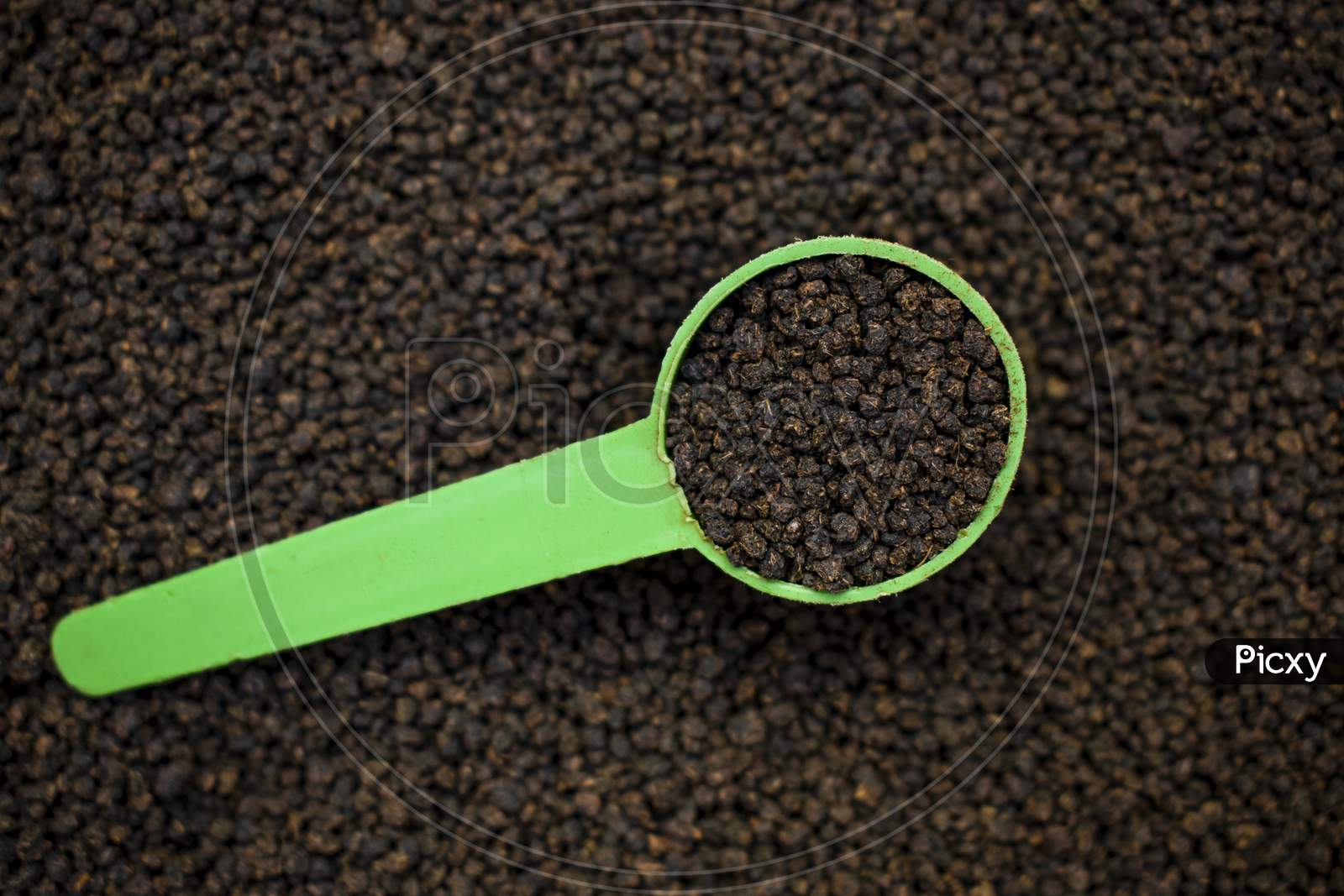 Spoon Of Black Tea Powder Or Chai Patti