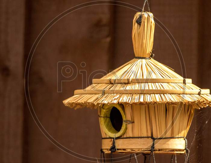 Bird Hut
